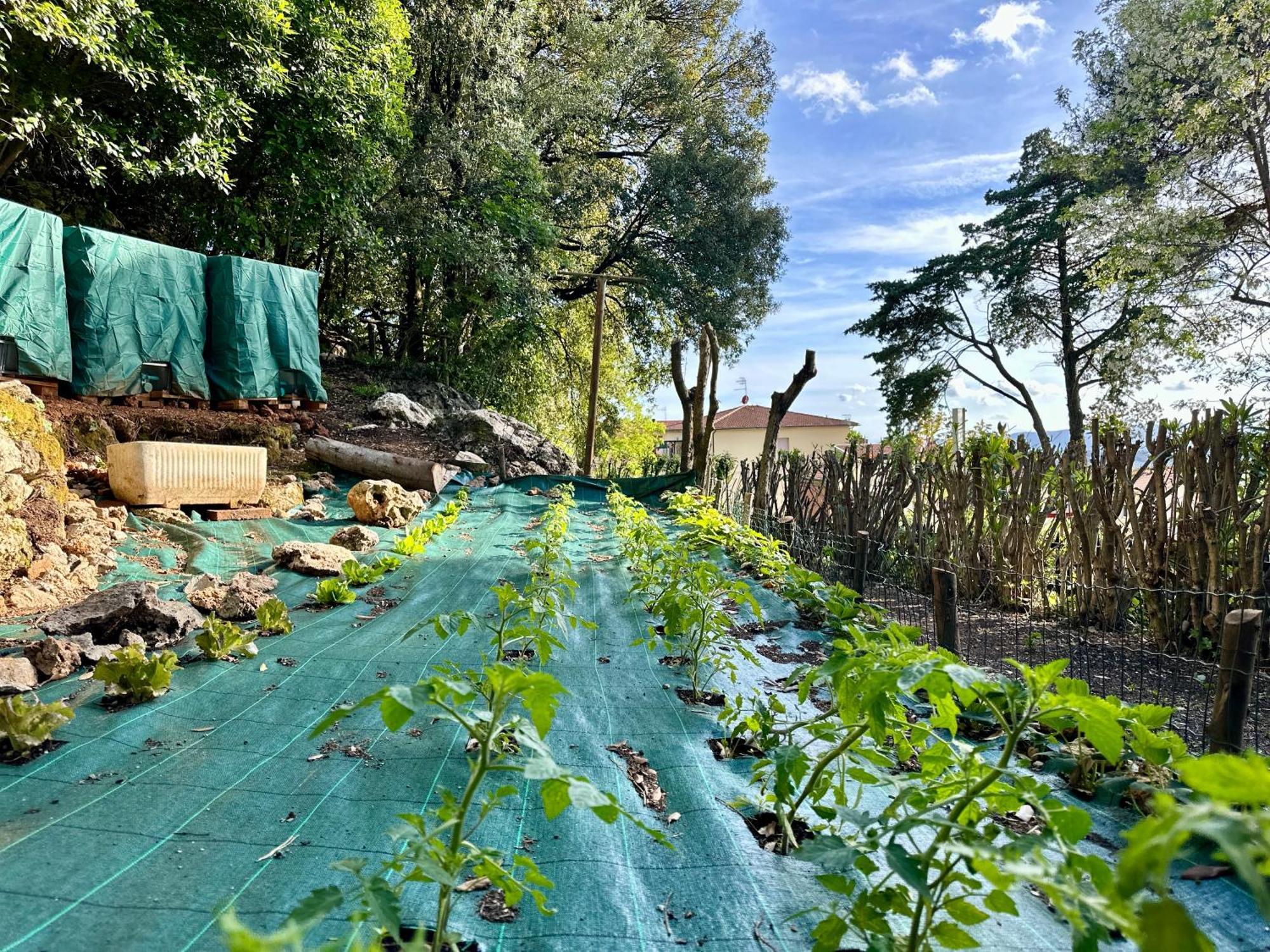 Villa Degli Ulivi 마사마리티마 외부 사진